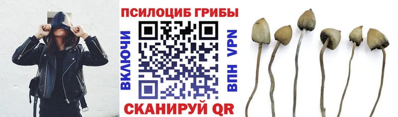 Галлюциногенные грибы прущие грибы  Семикаракорск 
